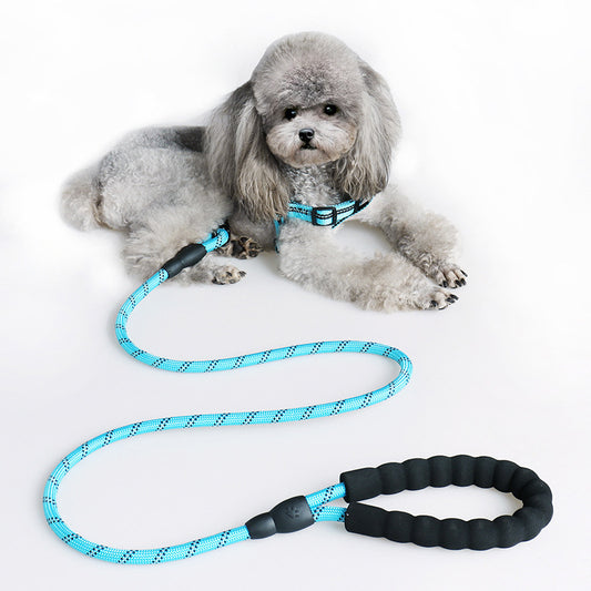 Nylon Dog Leash