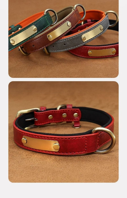 Fashion Pet Collar